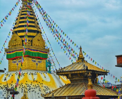Kathmandu Pokhara and Chitwan Tours